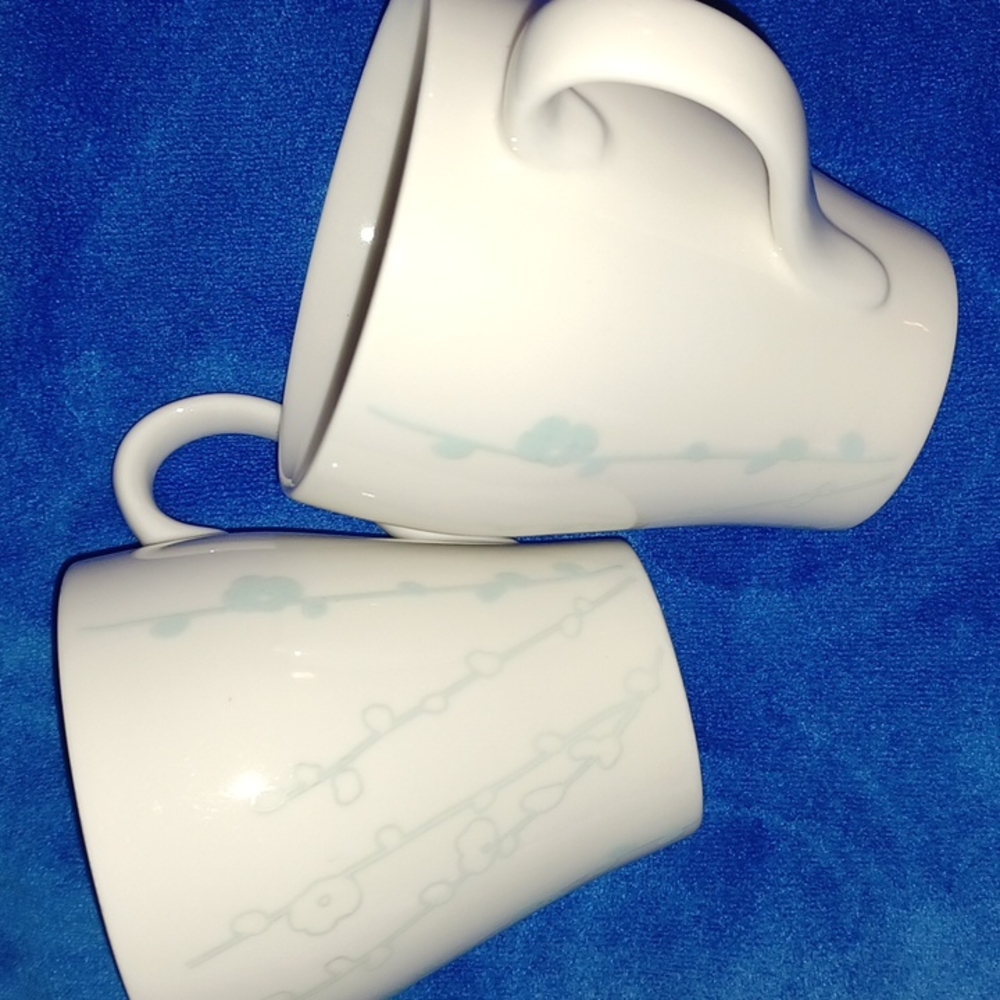 Starbucks 2005  coffe/ tea mugs, 2  Perfect condition. Mint color flower vines.